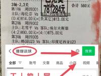 星空体育APP-西悉尼流浪者球队配合日益默契，世俱杯表现备受关注(西悉尼流浪者vs布里斯班狮吼直播)